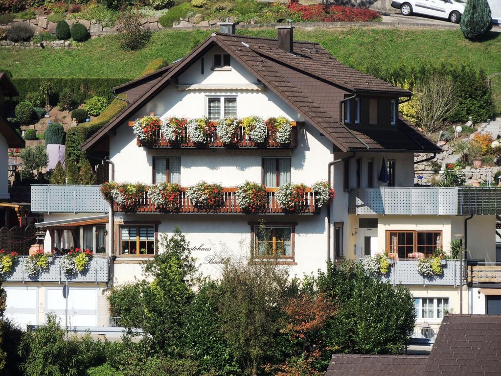 Gaestehaus Und Ferienwohnung Baechle 바트 페테르스탈-그리스바흐 외부 사진